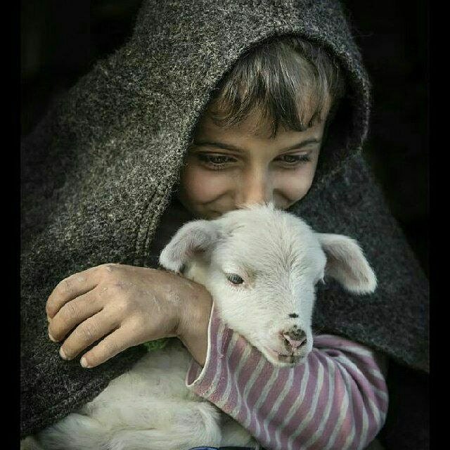 No_ToExecution's tweet photo. بجای «قربانی کردن» یک حیوان بیپناه،
روزی یک « صفت بد » خودمان را قربانی کنیم...
#زنده_باد_انسانیت
#نه_به_جمهوری_اسلامی #اتئیست #اتئیسم #نه_به_ادیان #نه_به_اسلام #من_مسلمان_نیستم #notoislam #notoislamicrepublic #imnotmuslim #goodwithoutgod #atheist #atheism #atheismcampa https://t.co/17sSrjDd0e