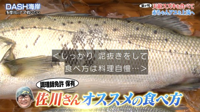 多摩川のアユを救うため クワをふるって19年の城島リーダーが 川底の石の耕し方 を市の職員に指導 鉄腕dash 2ページ目 Togetter