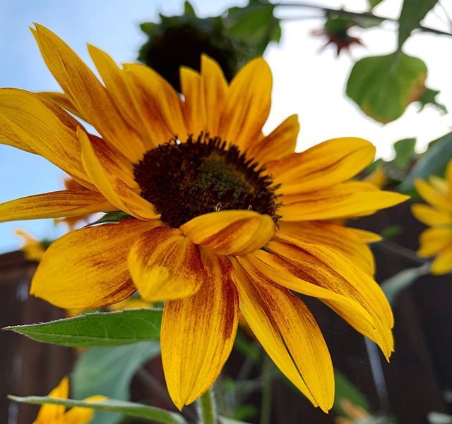 Hélène Scott tweet media