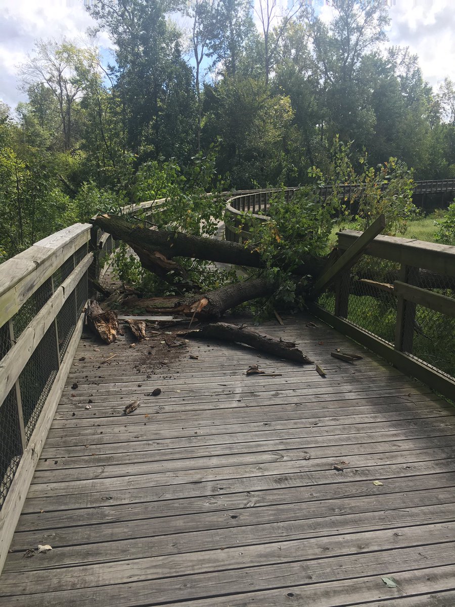 Large tree just came down on Walnut Creek trail just west of Neuse. <a href="/greenwayraleigh/">raleighgreenway@triangletoot.party</a> <a href="/raleighparks/">Raleigh Parks</a>