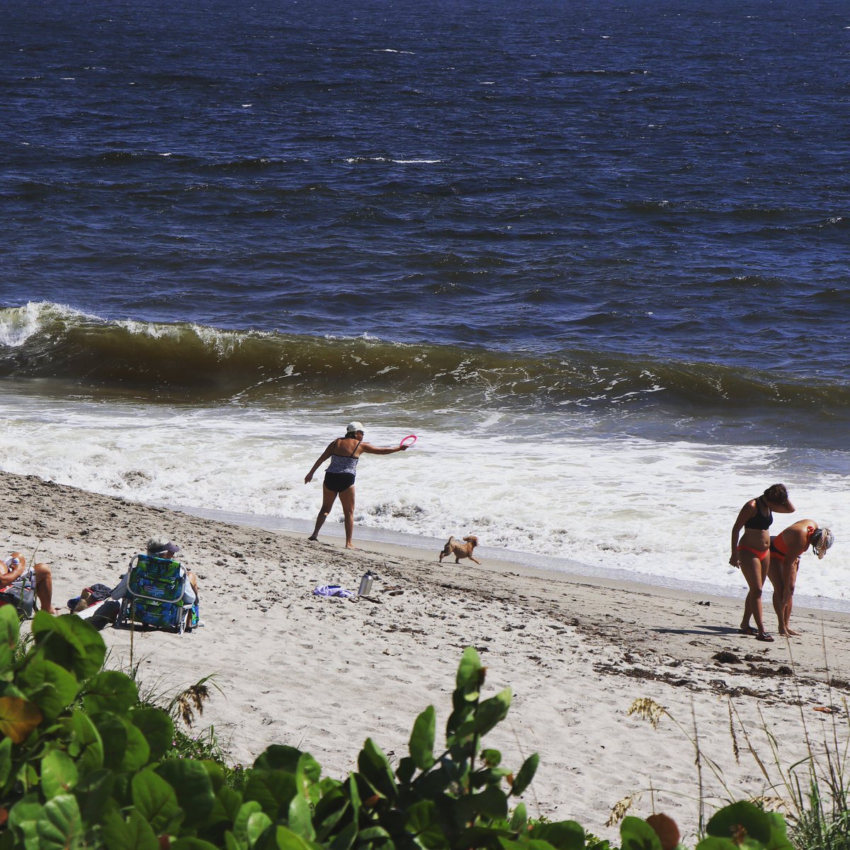 JupiterSurf's tweet image. Packed parking lot and beach goers enjoying @jupiterdogbeach with their furry friends before the storm. jupitersurfreport.com/juno-pier-surf…