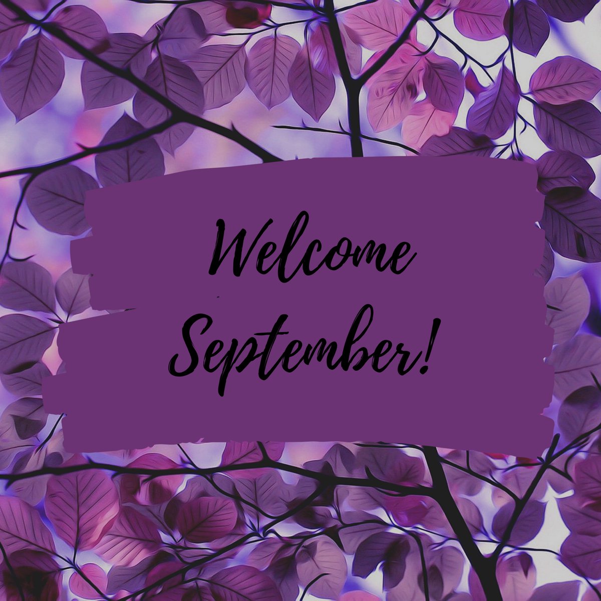 sfly_connected's tweet image. What are you starting new this month?