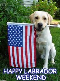 titzi1982's tweet photo. Happy #LabradorWeekend to you @MattBomer, Simon and your boys. Sorry meant happy #LaborDayWeekend π
ππ XoXo Patricia https://t.co/2NKPr3AKbS