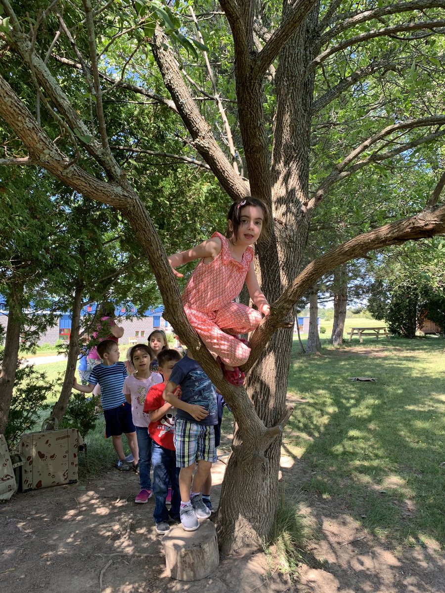 Jen Canfield tweet media