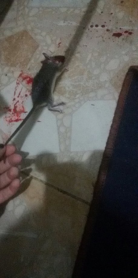 Lolo371371's tweet photo. قلت محد يفكر يدش غرفتى 😡 https://t.co/hEphNKmOvl