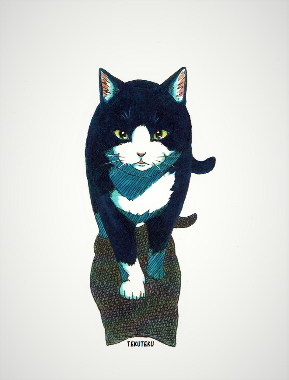 Tekuteku てくてく猫描 オリジナルイラスト 猫好き イラスト好きな人と繋がりたい かっこいいコを真正面から W T Co Aqmzqe6tdf Twitter