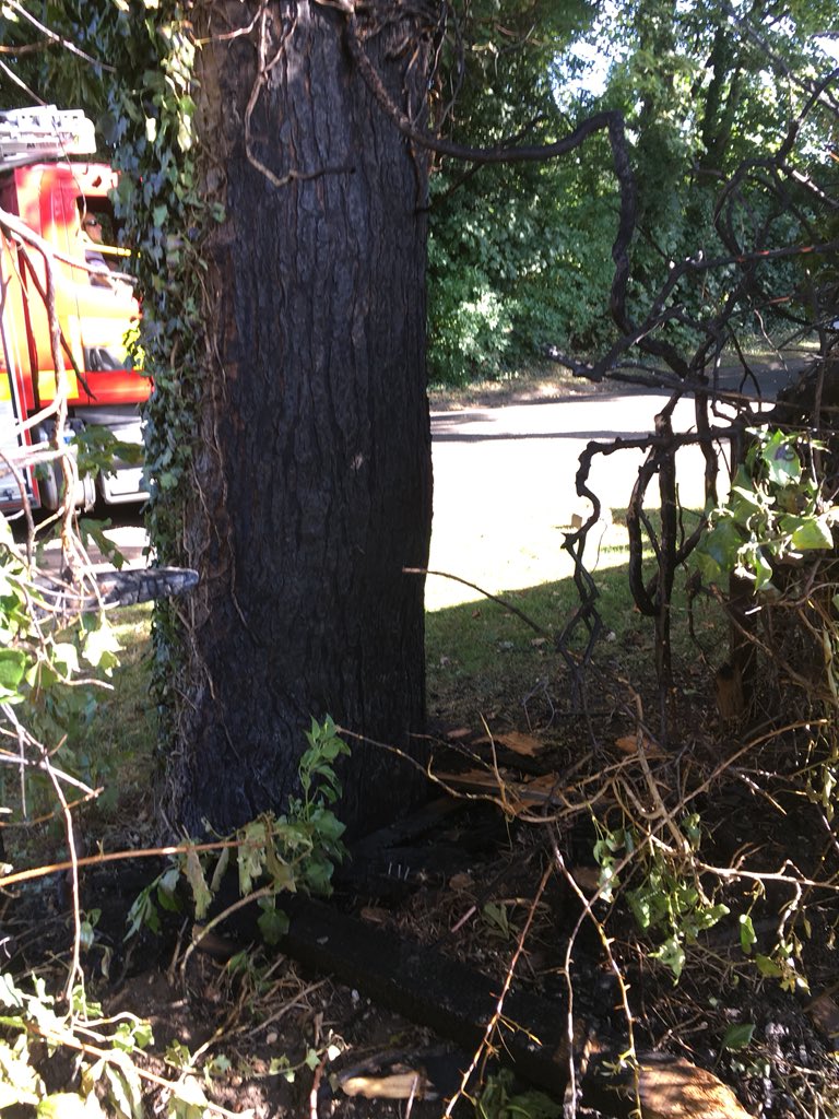 cfrs_wisbech's tweet photo. Well done to friendly neighbour who spotted this fence fire and immediately rang for the fire service last night. 🔥🚒💨.
The over night crew quickly dealt with this and prevented it from spreading further. https://t.co/twrYZe93Gw