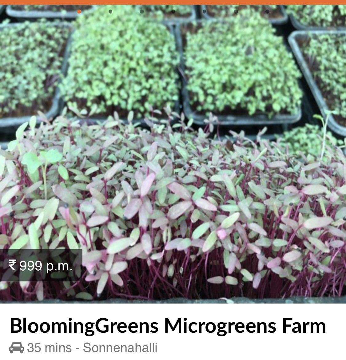 If you’re looking for a cheaper alternative - Farmizen also sells microgreens at a much cheaper rate and you get 2 boxes per week for an entire month at ₹999/-.