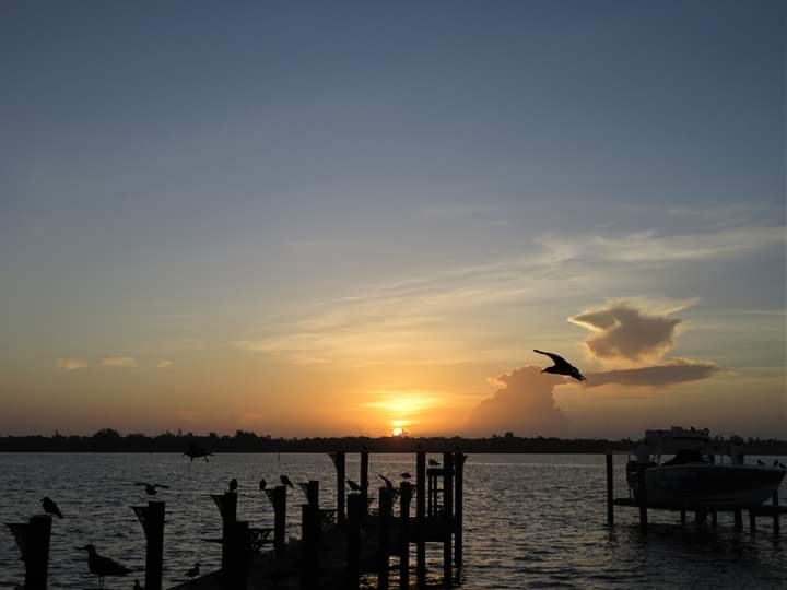 VivaSarasota's tweet photo. #SiestaKeySunrises #ThanksCharlie #VivaSarasota @wfla @SNNTV @mysuncoast #WFLA #SNN #MySuncoast #LoveSrq #LoveFL #LoveSK #SharetheLoveSrq #SharetheLoveSK #Sarasota #SarasotaFlorida #Srq #SK #SiestaKey #SiestaKeyBeach #Live941 #4Srq #4Sarasota #GoodMorningSrq #GoodMorningSunshine https://t.co/hHRKPSwqN1