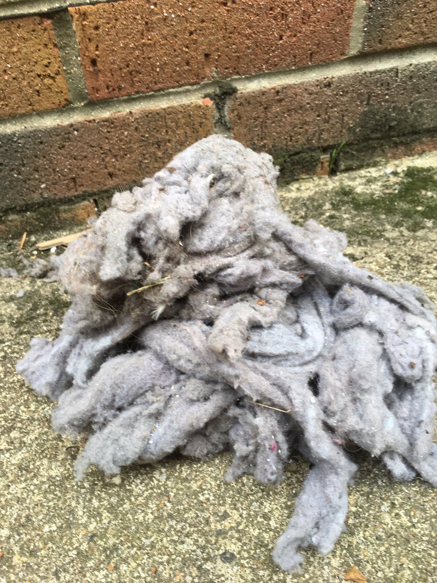 Neil Fletcher tweet media