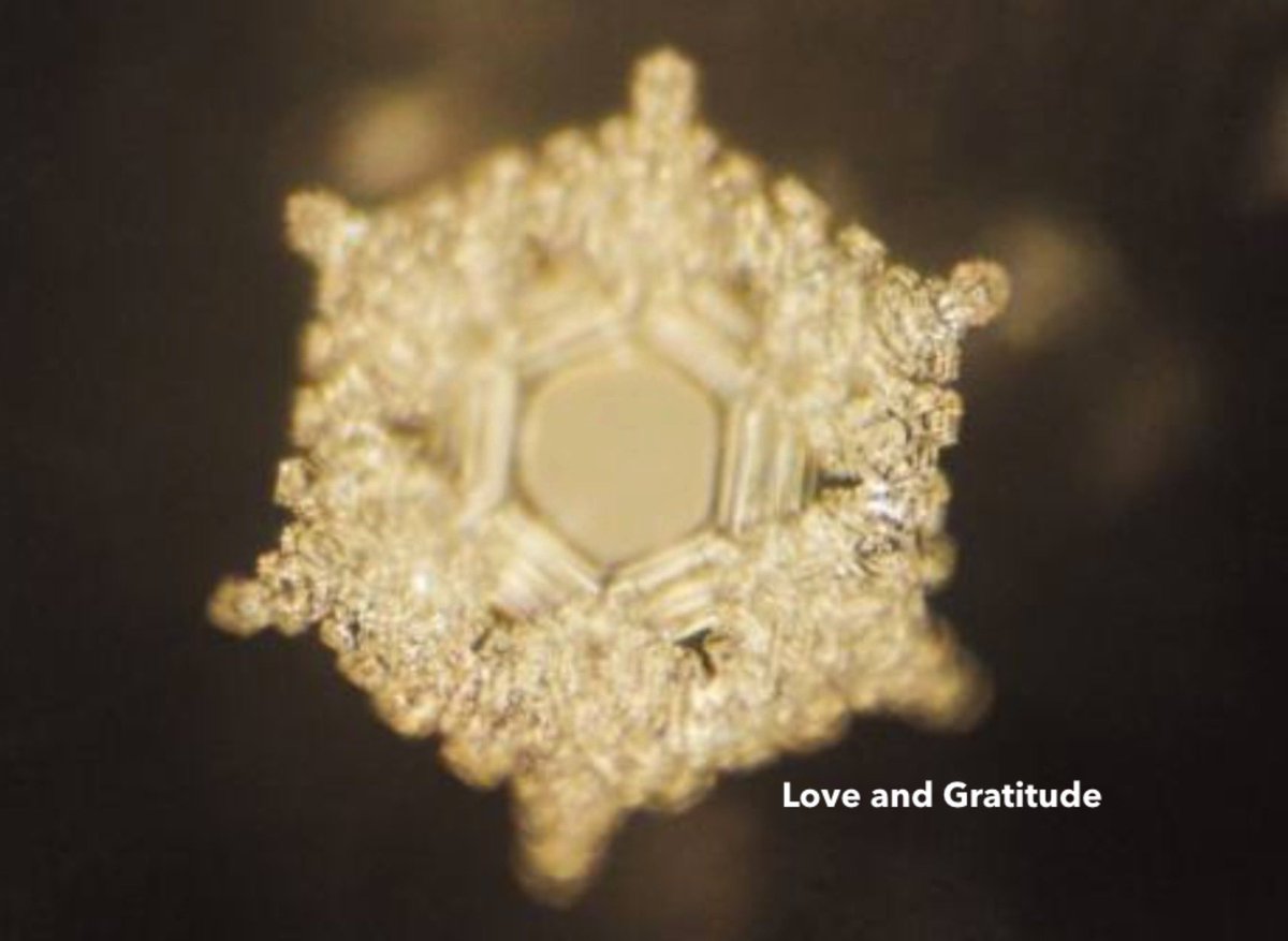 laura_corbeth's tweet photo. Enjoy the little things, for one day you may look back and realize they were the big things.โ โRobert Brault
#Grateful
#Gratitude
#Optimism
#PostitiveThoughts
#Intuition
#BeYourself
#Nature
#Sunshine
#Trees
#Animals
Image of water with words Love and Gratitude via Dr. Emoto. https://t.co/PfuwUlBaSI