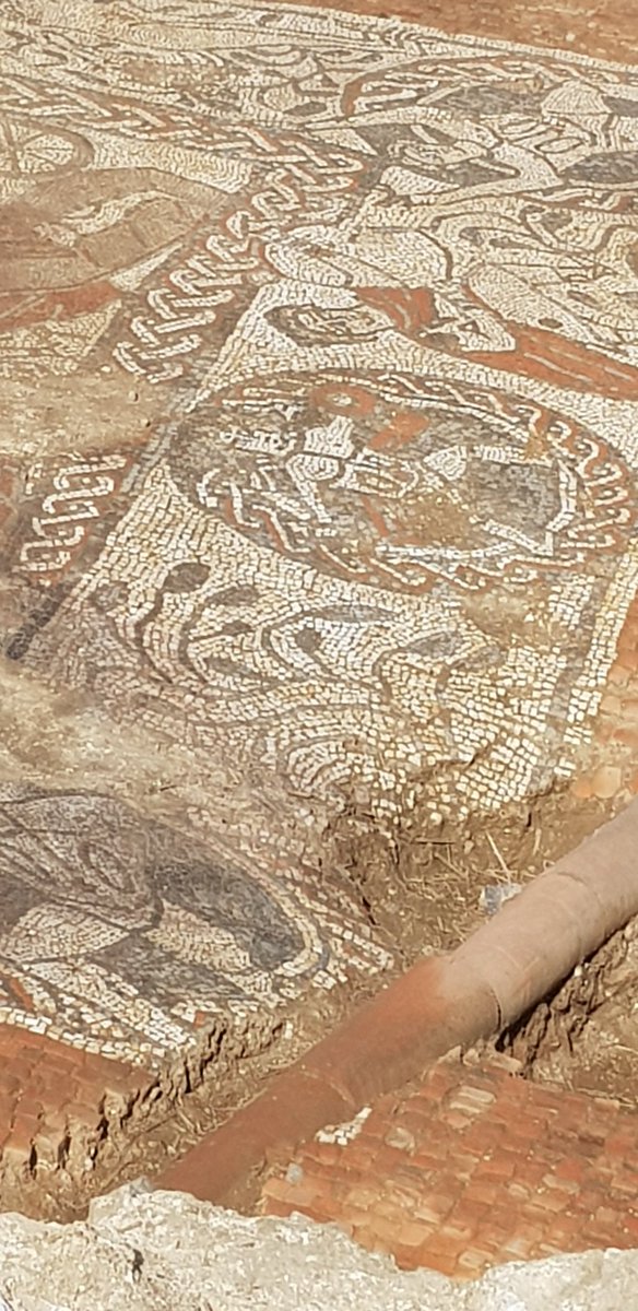 BoxfordMasques's tweet image. Incredible and rare Roman mosaic briefly unveiled in Boxford! Next summer we bring the characters to life in a charity community outdoor theatre show!