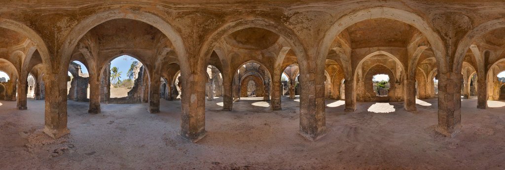  #ForgottenAfricanArchitecture(5/15) Swahili Kilwa (Tanzania). Ancient trading center. Medieval Arab explorer Ibn-Battuta said "Kilwa is amongst the most beautiful of cities and elegantly built. All of it is of wood, and the ceiling of its houses is of al-dis [reeds]."