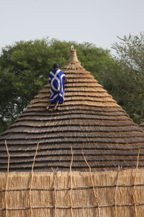  #ForgottenAfricanArchitecture(10/15) Toposa (South Sudan): Sadly South Sudan is in the news only for its issues but as we struggle to encourage more women into architecture, it's worth mentioning that, as in many part of the continent, Toposa homes were entirely built by women.