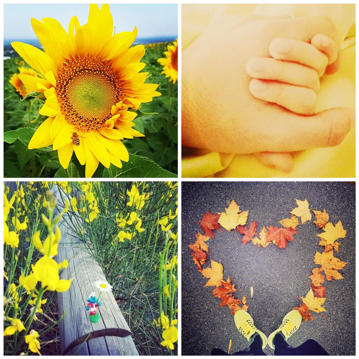 jourdan_jerome's tweet photo. Ce Dimanche 01/09/2019 ouvre le Mois de la Campagne #SeptembreEnOR (Sensibilisation pour la Lutte contre les #Cancer S de l'Enfant).. Chaque jour de la #VIE est à dévorer avec #FORCE, #BONHEUR &amp; SOURIRES.. Soyons TOUS &amp; TOUTES #OrDuCommun 🌻☀️🦁💛🦋⭐💪⭐🦋💛🦁☀️🌻 #September1st https://t.co/2gsvGnYPkM