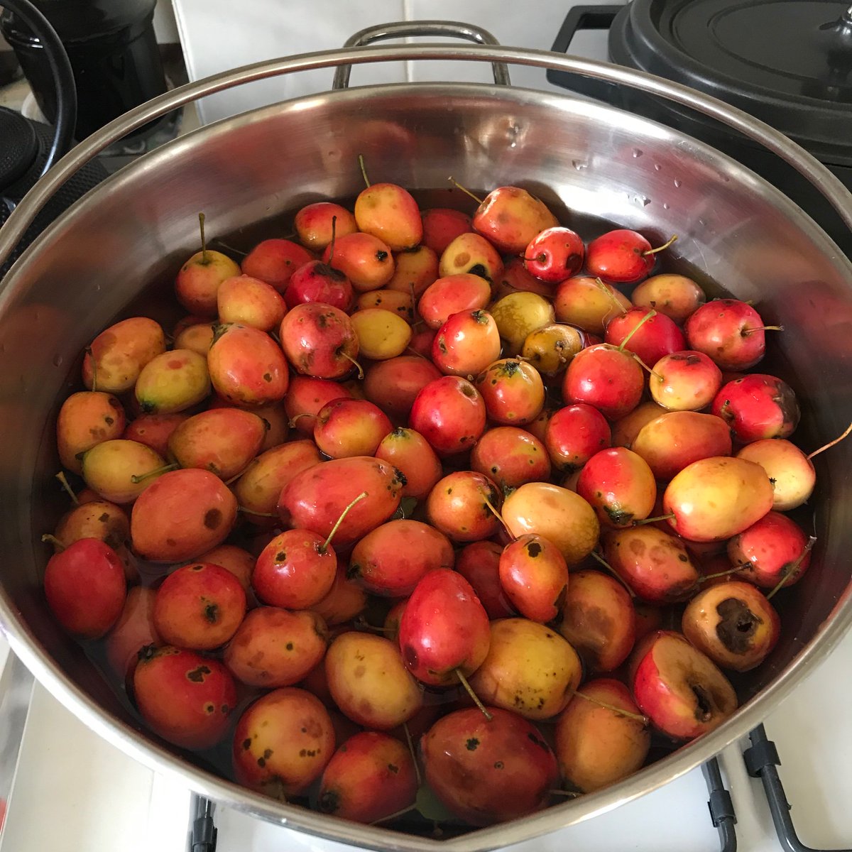 rubyflowerfae's tweet image. Time spent foraging for the harvest berries is the passage to autumn equinox a ritual followed each year. Our most abundant berries are blackberry and sloe. Both a very rich purple full of protection for the dark months