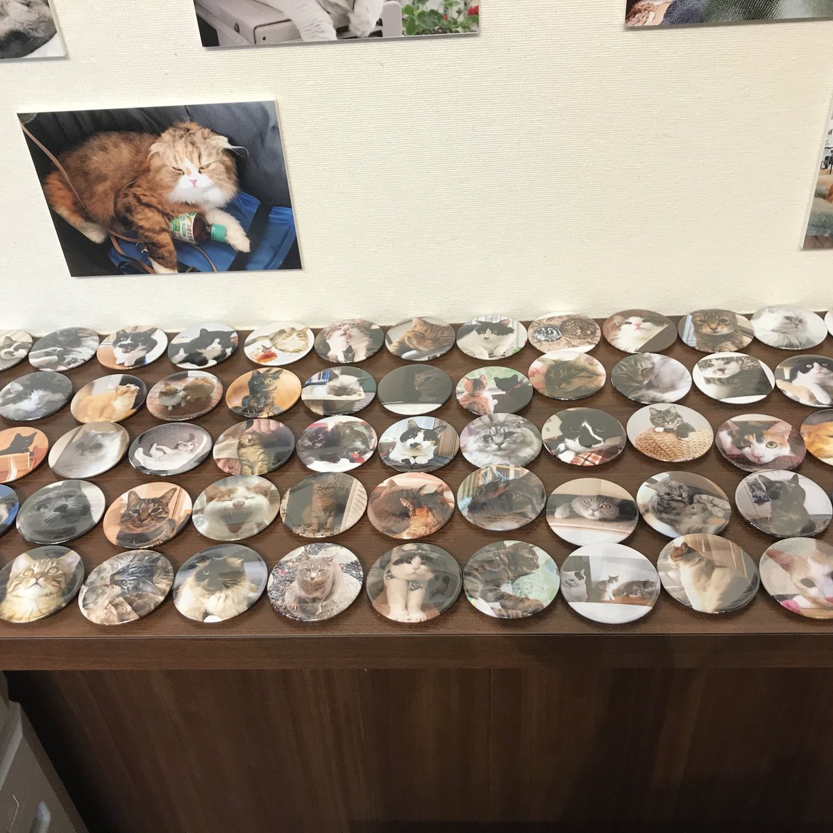にゃんだふるらいふフォトグッズ展