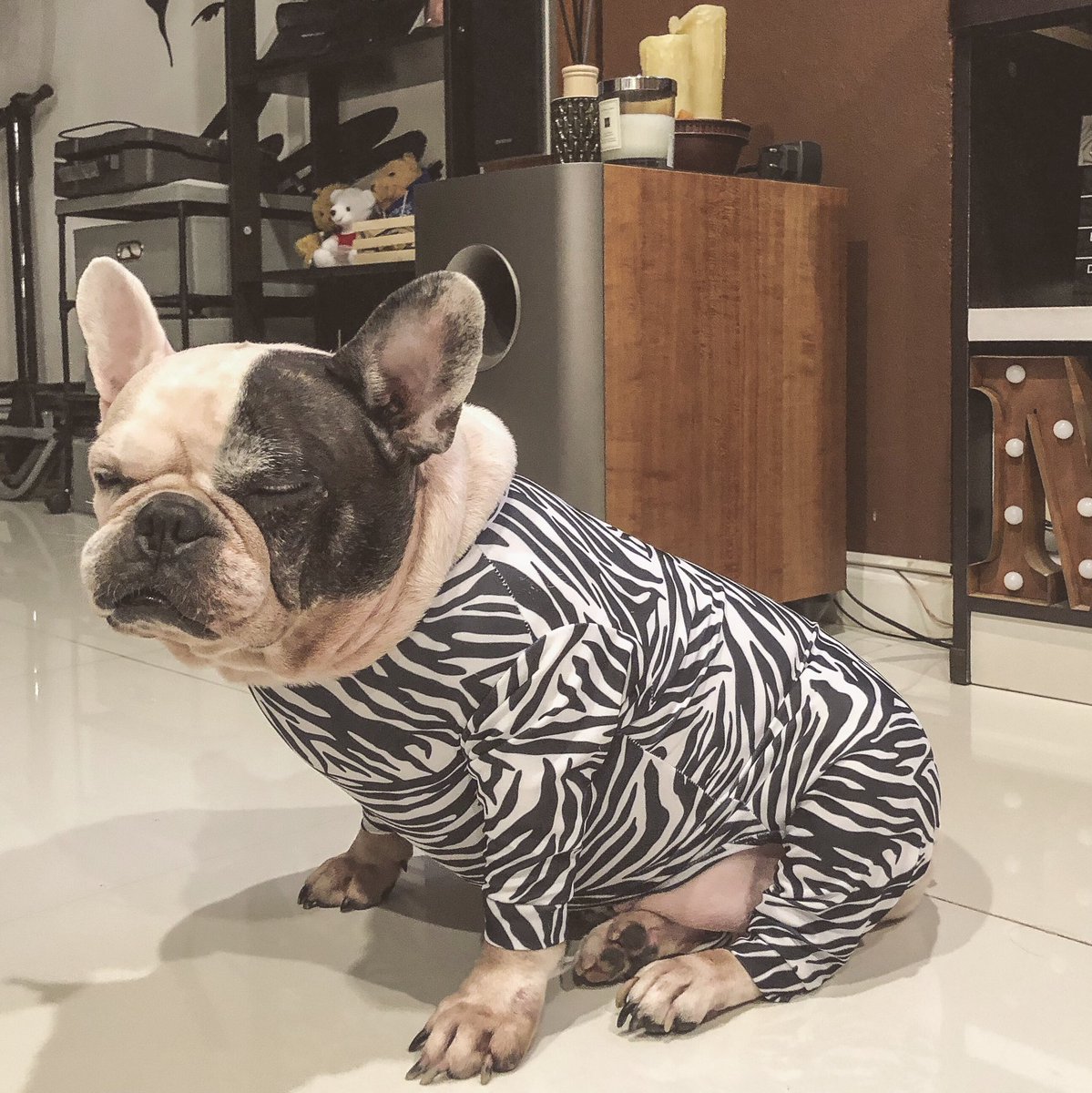 isea44's tweet photo. ม้าลายยยยย https://t.co/lMdRDbqosQ