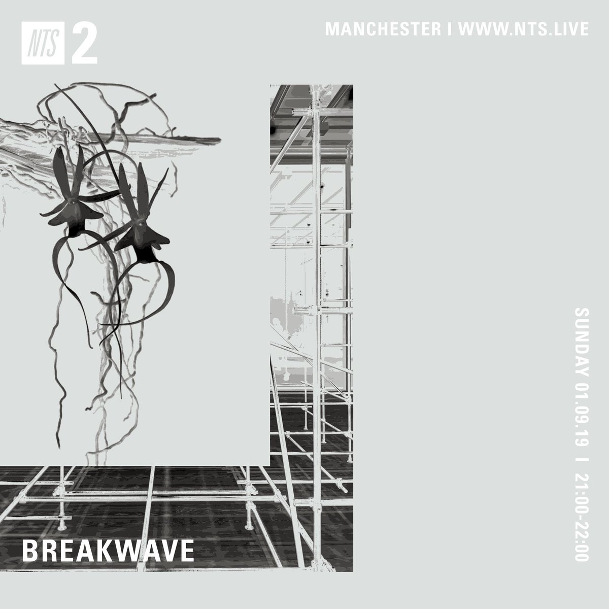 Ambient hour on today's <a href="/NTSlive/">NTS Radio</a> show airing at 21:00-22:00 (GMT) with music from <a href="/dark_shark/">Brian Eno News</a> <a href="/DKaka45ACP/">D.K. aka 45 ACP</a> Grand River <a href="/federicodurand/">Federico Durand</a> <a href="/psychictroubles/">psychictroublestapes</a> <a href="/robertlippok/">Robert Lippok</a> <a href="/takahirokido/">Takahiro Kido</a> and many more🍂 nts.live/2