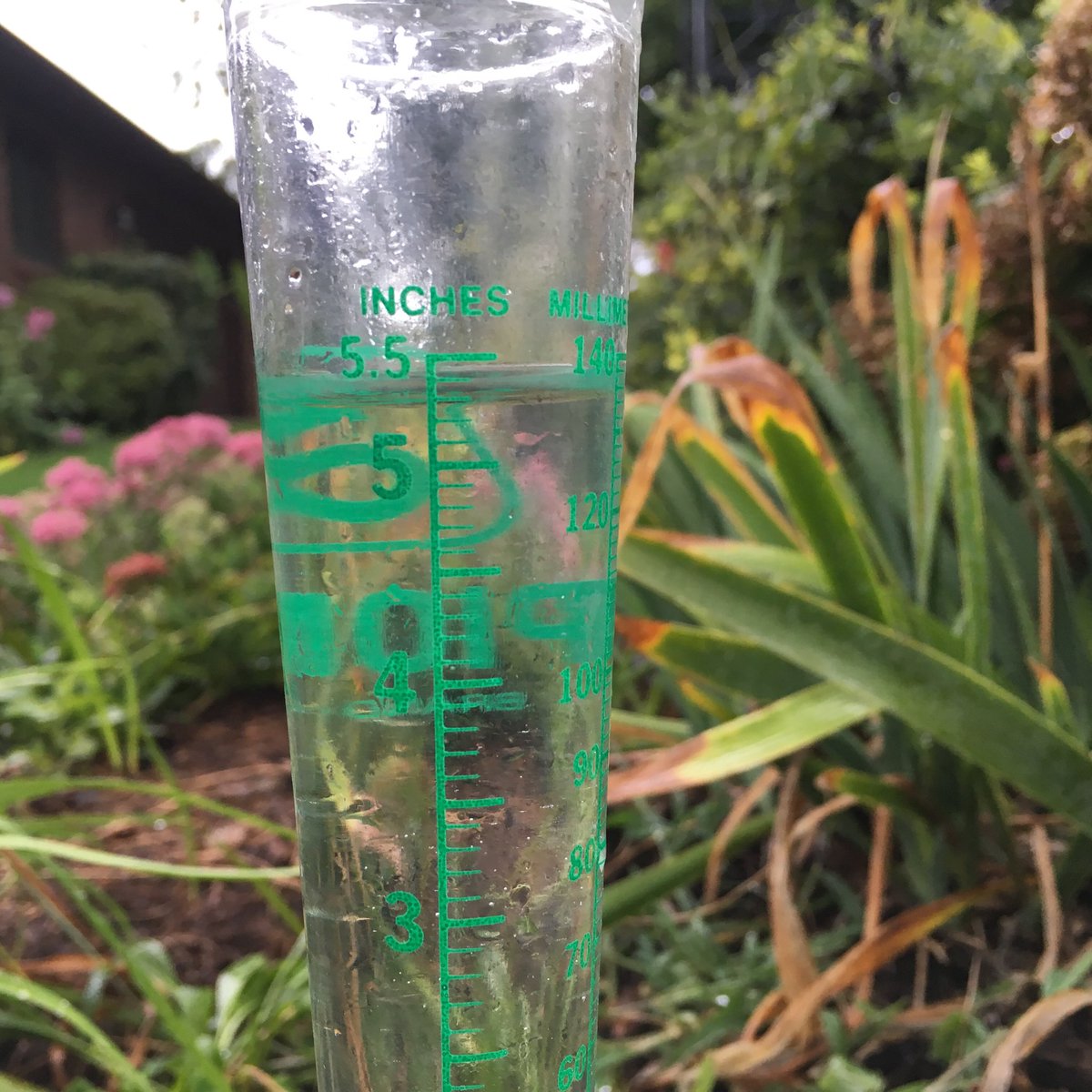 billshaw84's tweet photo. Maxed out the gauge this morning in south Sangamon County☔️☔️ https://t.co/GtUH4kEDYE