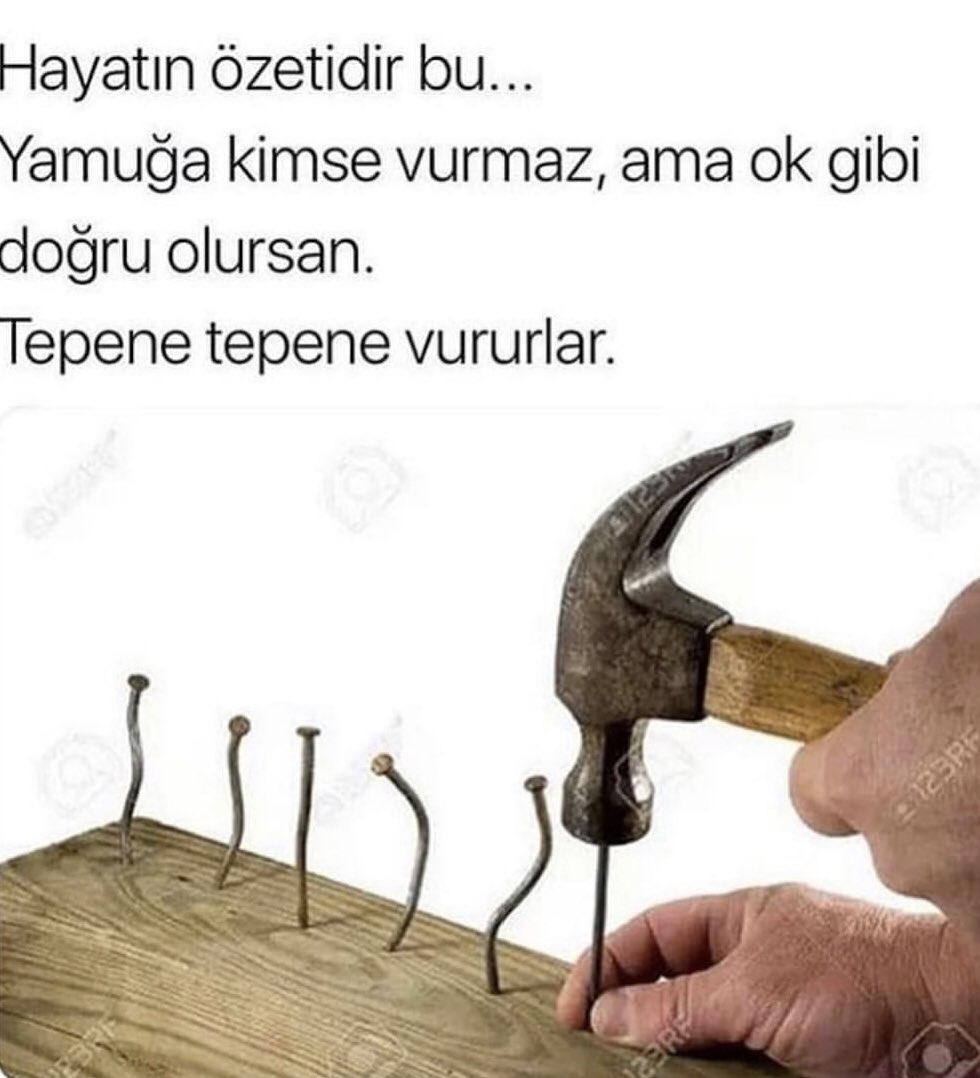 Halil Tanır (@rtanirogullari) on Twitter photo 