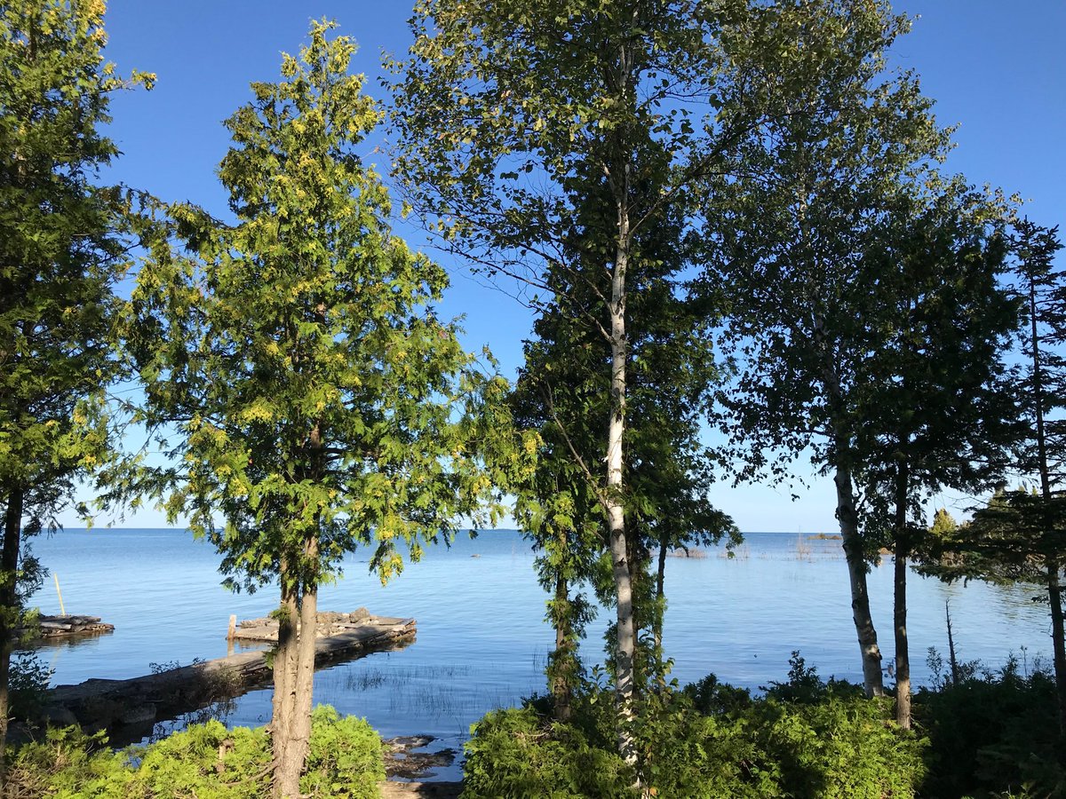 Chris Bentley tweet media