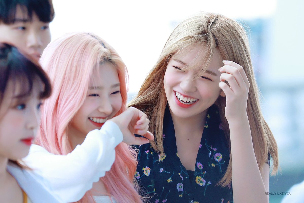 a freshman falling in love with the popular senior in college
