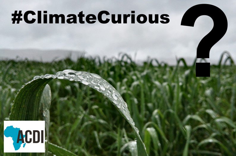 What do you want to know about climate change? Send your #ClimateCurious questions to <a href="/ACDI_UCT/">African Climate & Development Initiative</a> and our experts will answer them on 19 Sept, the eve of the #GlobalClimateStrike. We want to know what you want to know! Read more: acdi.uct.ac.za/climatecurious