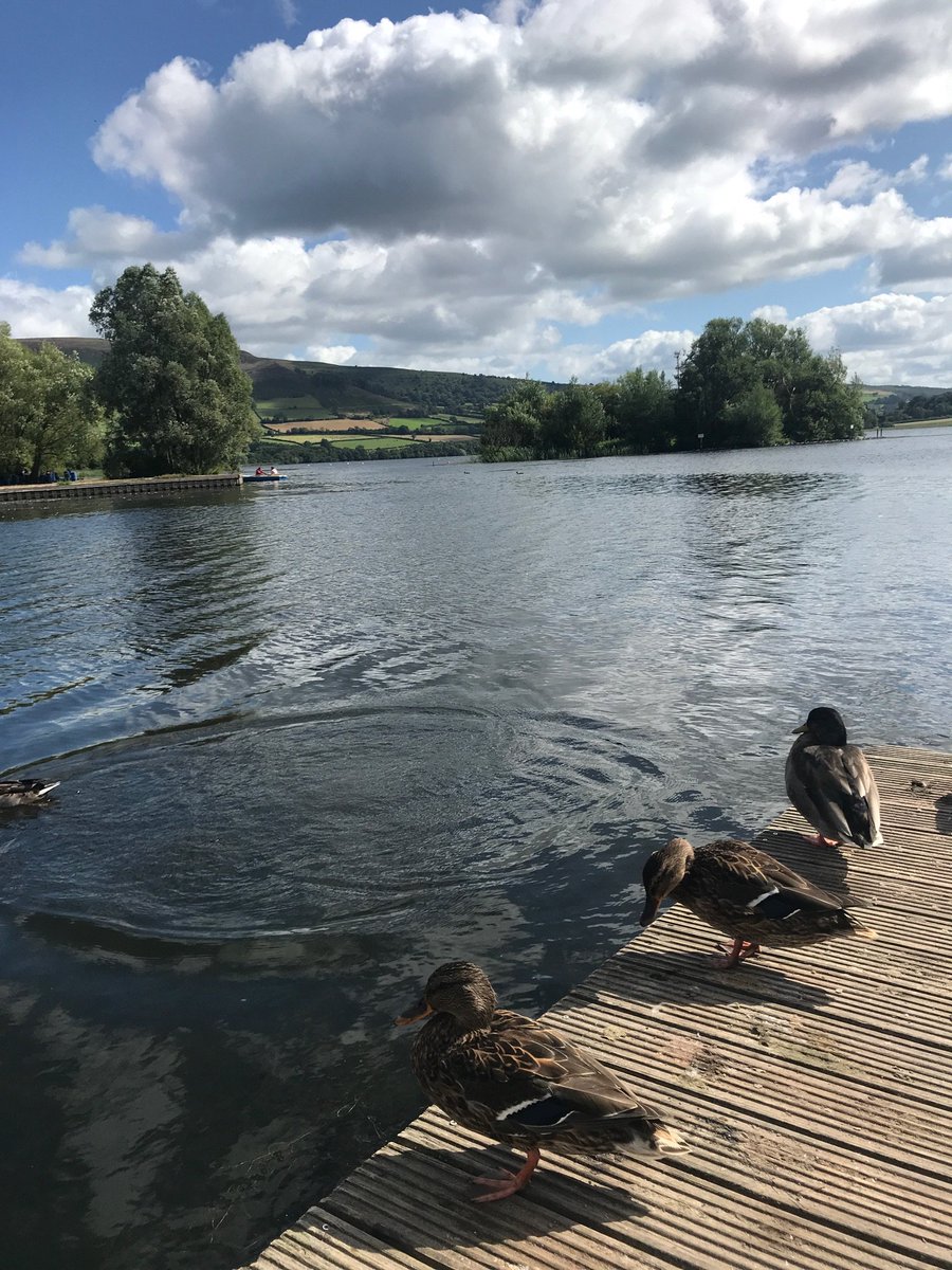 RealBobMortimer's tweet photo. Son just fell in... took me ages to get this shot https://t.co/IQdkgMZ25y