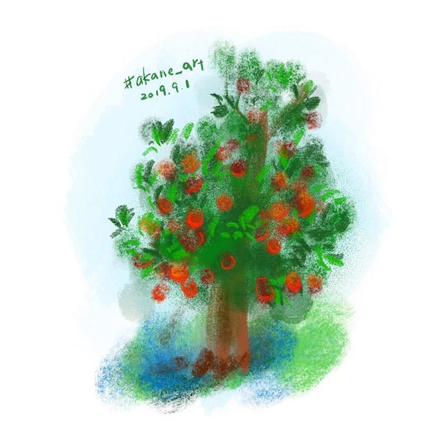 Akane Art Apple Tree りんご りんごの木 リンゴ リンゴの木 果樹園 果実 フルーツ Apple Appletree Fruits Orchard Akane Art イラスト Illustration Drawing Art Painting Procreate 一日一絵 Onesktchaday Onedrawingaday