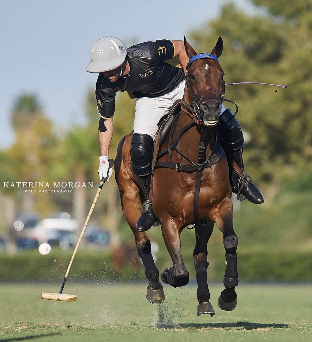 Home - Hurlingham Polo Club, Polo Team, Polo Game, Polo Magazine