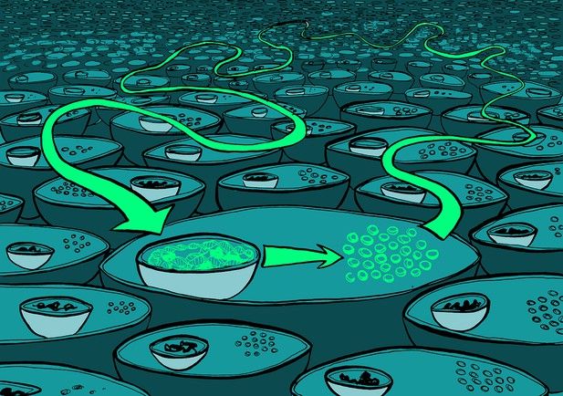 eLife's tweet photo. Are biologists overlooking explanations of causality? Karmon and Pilpel suggest so https://t.co/3pz2hns0li https://t.co/w4RKHw0H35