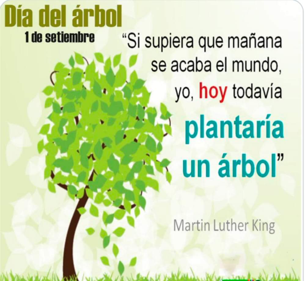 NOEMIDELATORRE8's tweet photo. #PorMásArbolesEnLaCiudad https://t.co/qx66Y7rAiH