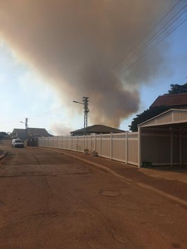 View image on Twitter