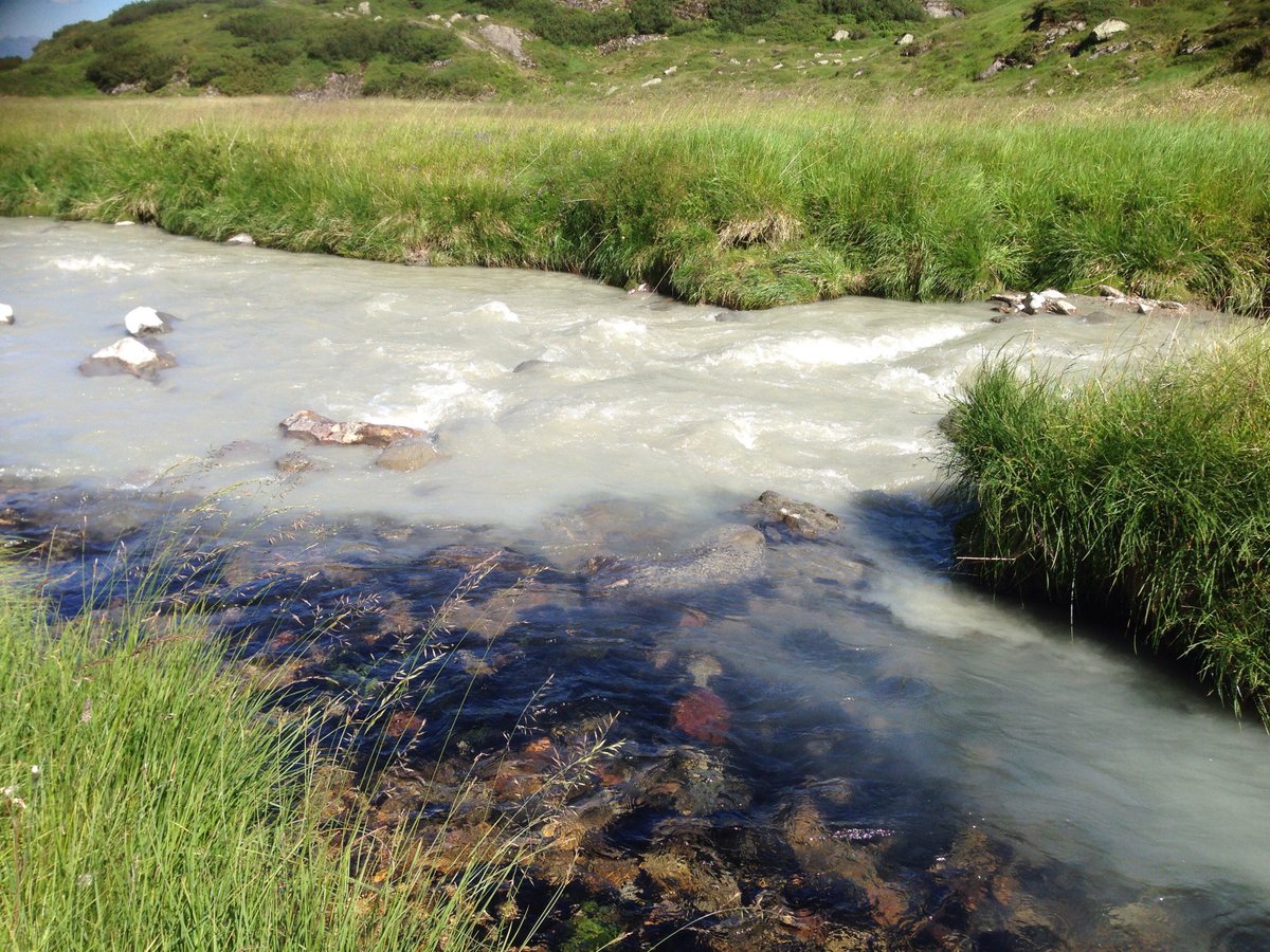 Kristin Richter tweet media