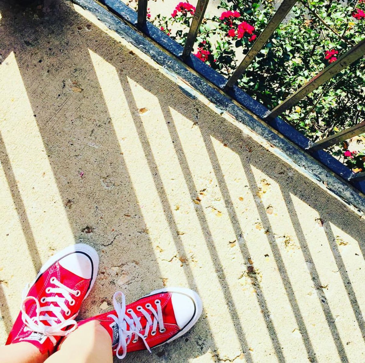 oakley_red's tweet photo. According to the @AAFANational, anaphylaxis is at least as common as 1 in 50-people in the U.S. based on a study by the organization. I am one of those! -Rebekah #mylifewithfoodallergies #redsneakersforoakley #livlikeoaks #oneinfifty https://t.co/YTsiTgozUw