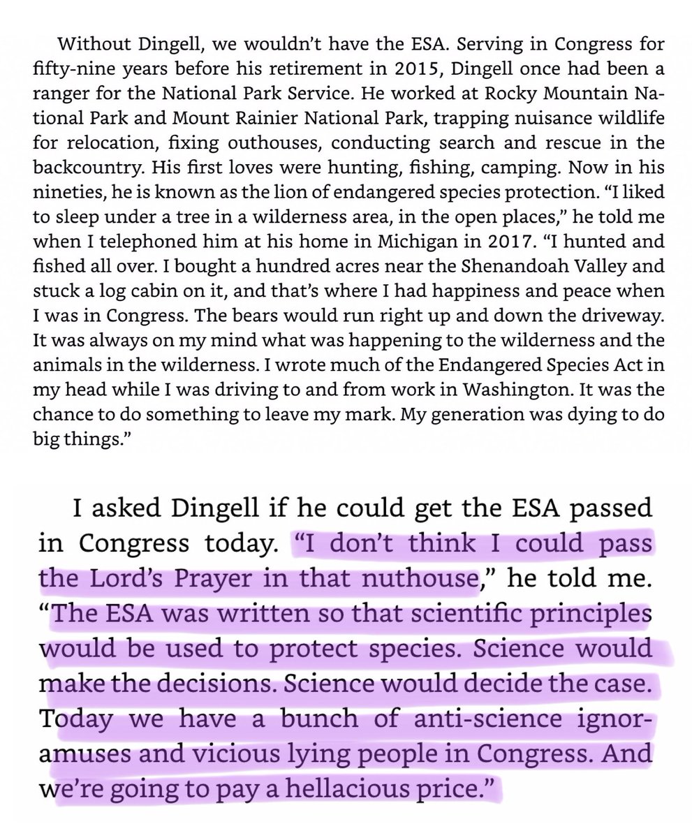 explorations in dementia theoretical