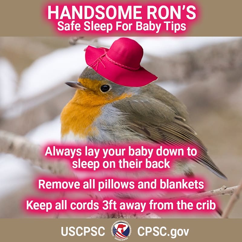 A European Robin named Handsome Ron sits on a branch in a pink sun hat. The text reads: Always lay your baby down to sleep on their back. Remove all pillows and blankets. Keep cords 3ft away from the crib.