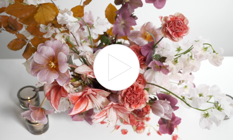 sourced_co's tweet photo. Heyo! Today is release day and we are beyond excited to have just given our members 36 #stockvideo clips to up their #digitalmarketing game! Learn more and get in on this goodness today! https://t.co/Z4RHJjDtbb #weddingpro #creativepreneur https://t.co/aJToQB8BwS