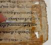 Cambridge_Uni's tweet photo. Conservators at Cambridge University Library @theUL repair medieval manuscript fragments. This way they can be safely digitised and shared with the world: https://t.co/Myuu9X3YwU #PolonskyGreek @CamDigLib https://t.co/pyciNaNJSf