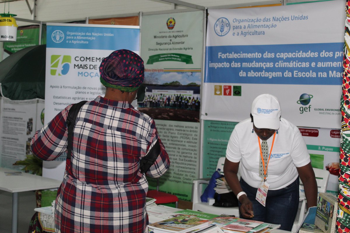 FAOMozambique's tweet photo. @FAO marks presence at the largest agricultural, commercial and industrial fair in #Mozambique bringing options to promote agribusiness to small #farmers  through #cassava processing and the purchase of improved #seeds through electronic vouchers. #FACIM2019 https://t.co/Igaqd894bq