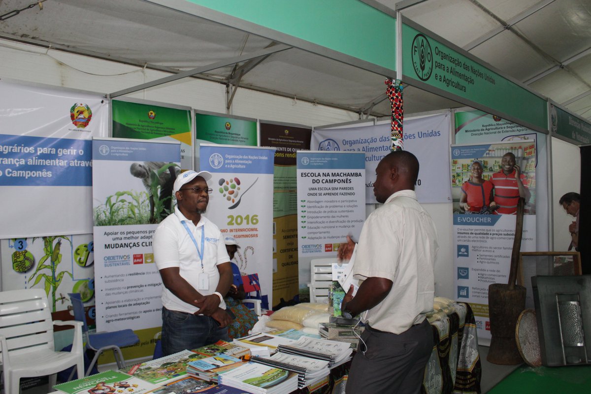 FAOMozambique's tweet photo. @FAO marks presence at the largest agricultural, commercial and industrial fair in #Mozambique bringing options to promote agribusiness to small #farmers  through #cassava processing and the purchase of improved #seeds through electronic vouchers. #FACIM2019 https://t.co/Igaqd894bq