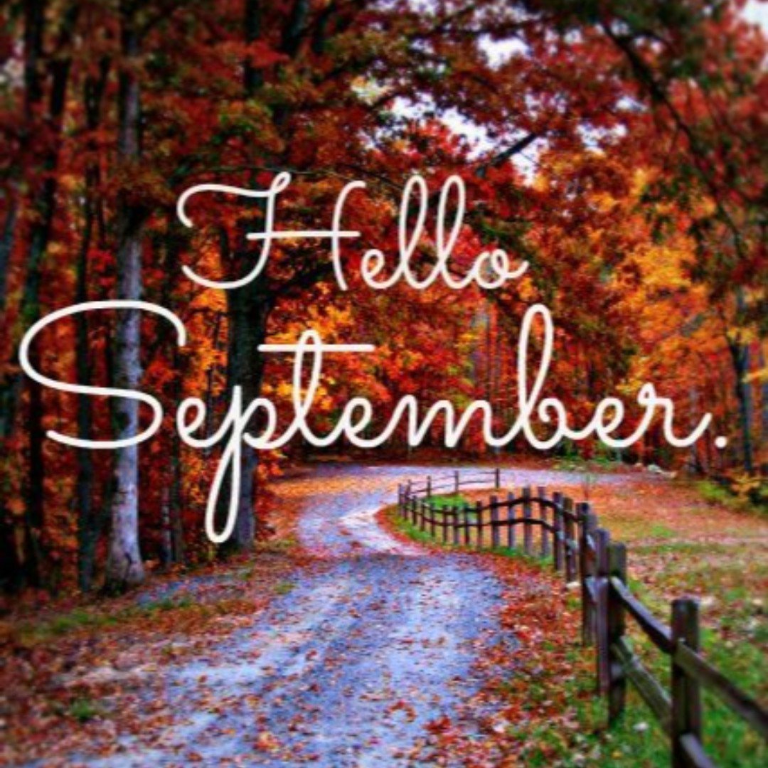 isurecanada's tweet photo. And just like that...#summer falls into September. Let's hope the warm weather can stick around for a few more weeks 🙂 If you're planning any road trips for the long weekend, #besafe and #justdrive. #fall #isure #insuranceaboutyou #newmonth https://t.co/5Vow21VD22