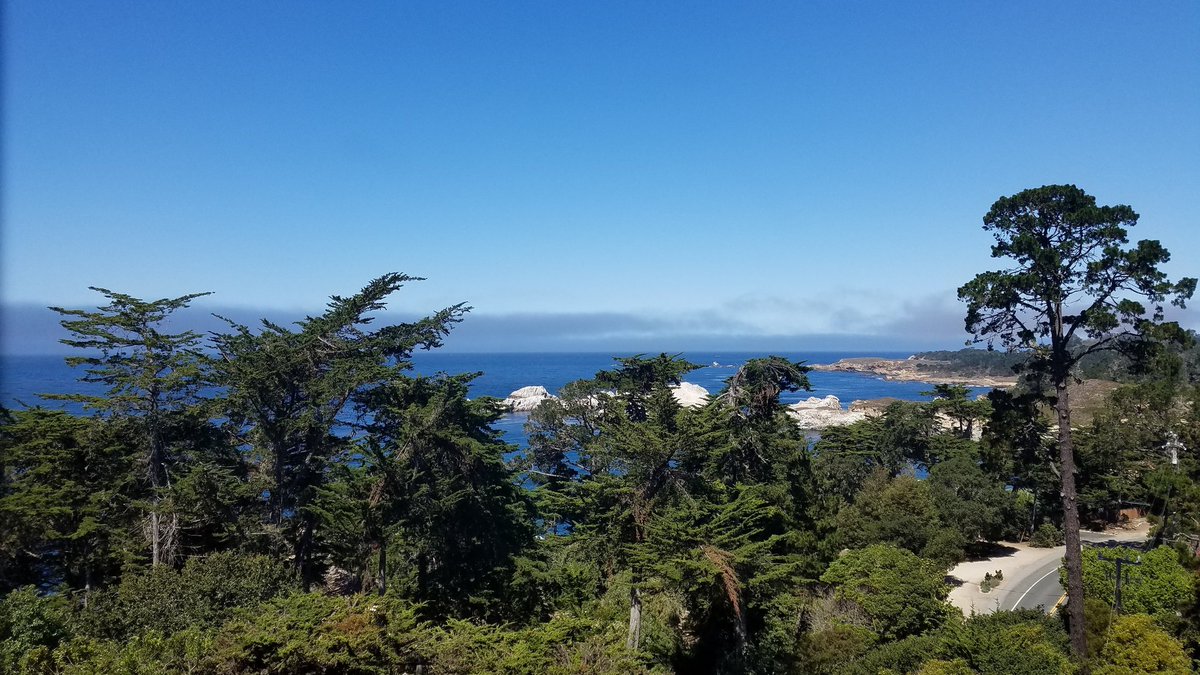 t_jh2009's tweet photo. Waking up to this view of #PointLobos #StateReserve near #Carmel #California never gets old. https://t.co/Gehok1Whe8