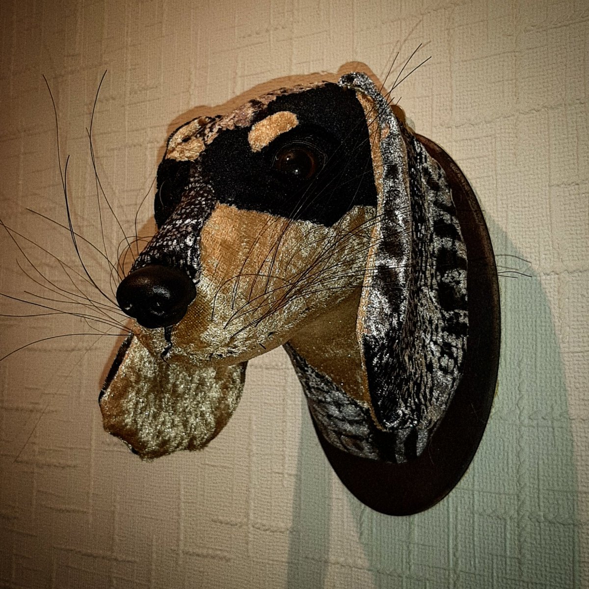 Jaynetunners's tweet photo. A custom commission. Black, tan and brindle #dachshund #sausagedog #dogreplica #replicadog #customreplica #dog #dogs #textilesculpture https://t.co/L899KYkpV9