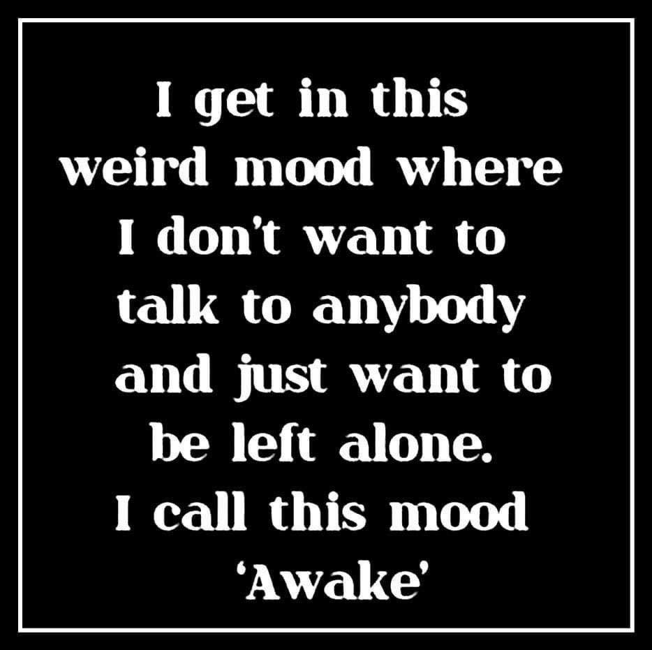 IntrovertDear's tweet photo. Same 🤷‍♀️#introvert #introvertlife #introvertproblems https://t.co/2hQxCpYl9b