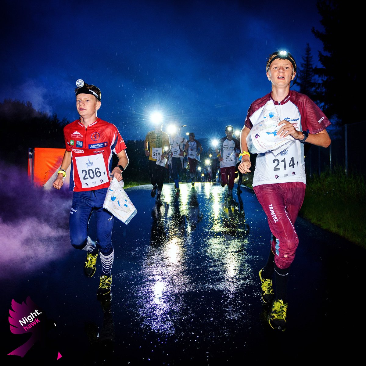 Night Hawk tweet media