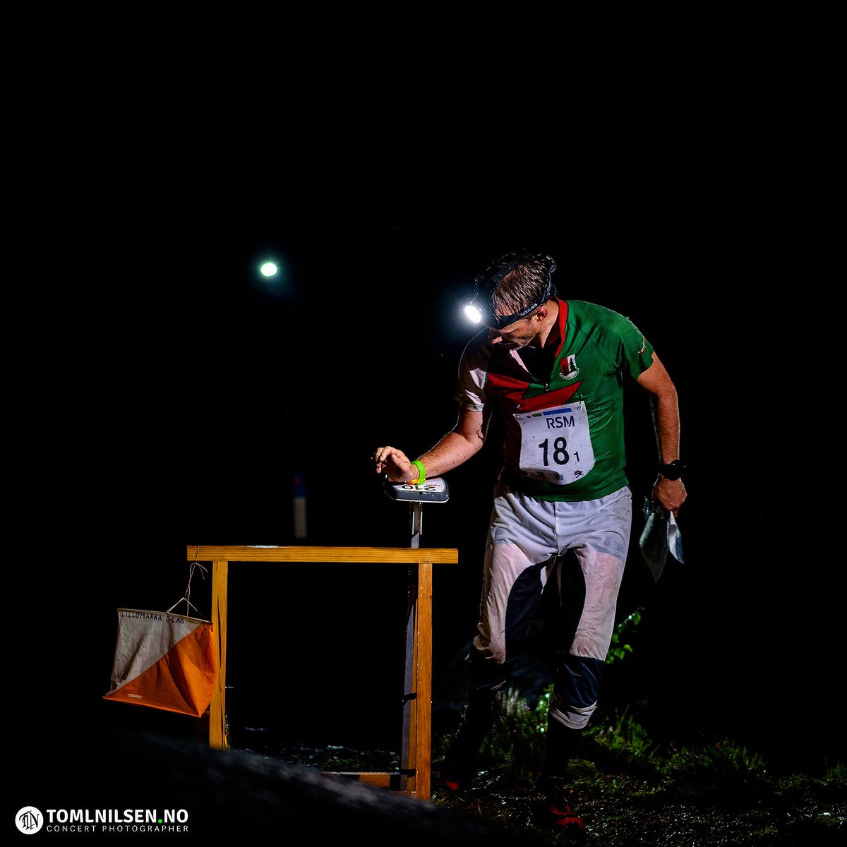 Night Hawk tweet media