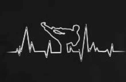 GMA Garriss Martial Arts tweet media