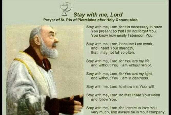 Stay with me Lord Padre Pio Laminated Prayer Cards HC9-463E.ZZ Pack of 25 Prayer After Communion 